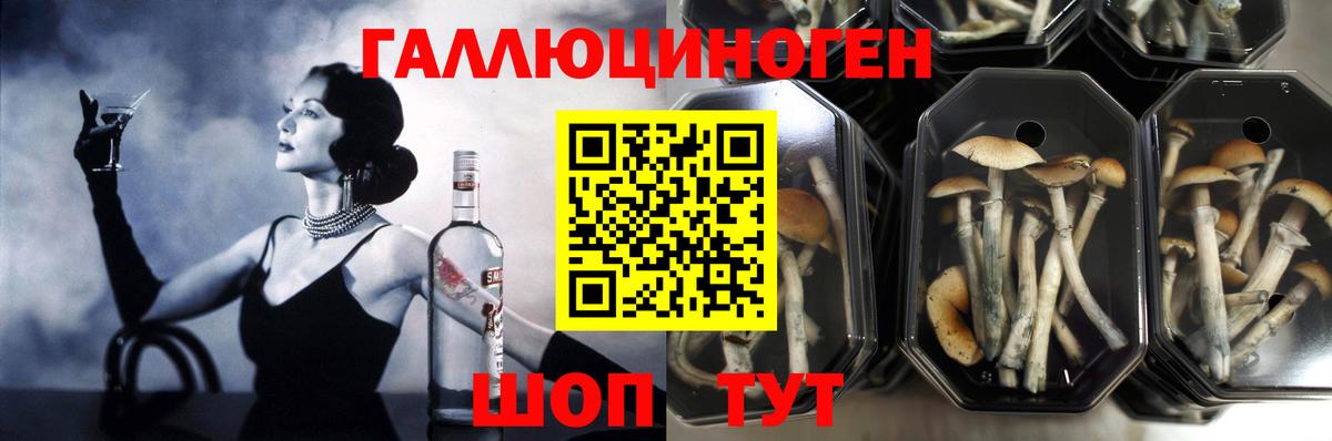 Галлюциногенные грибы прущие грибы Павлово